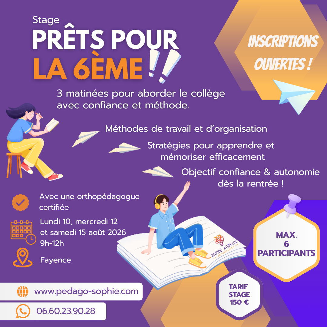 le stage d'été